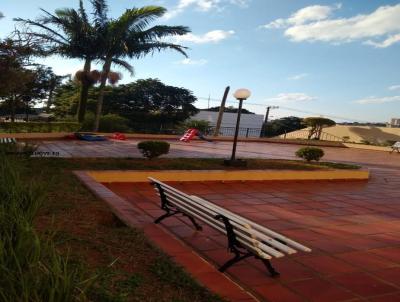 imagem-miniatura