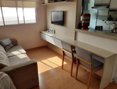 imagem-miniatura