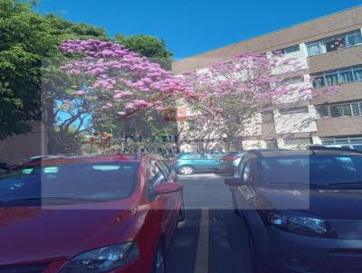 imagem-miniatura